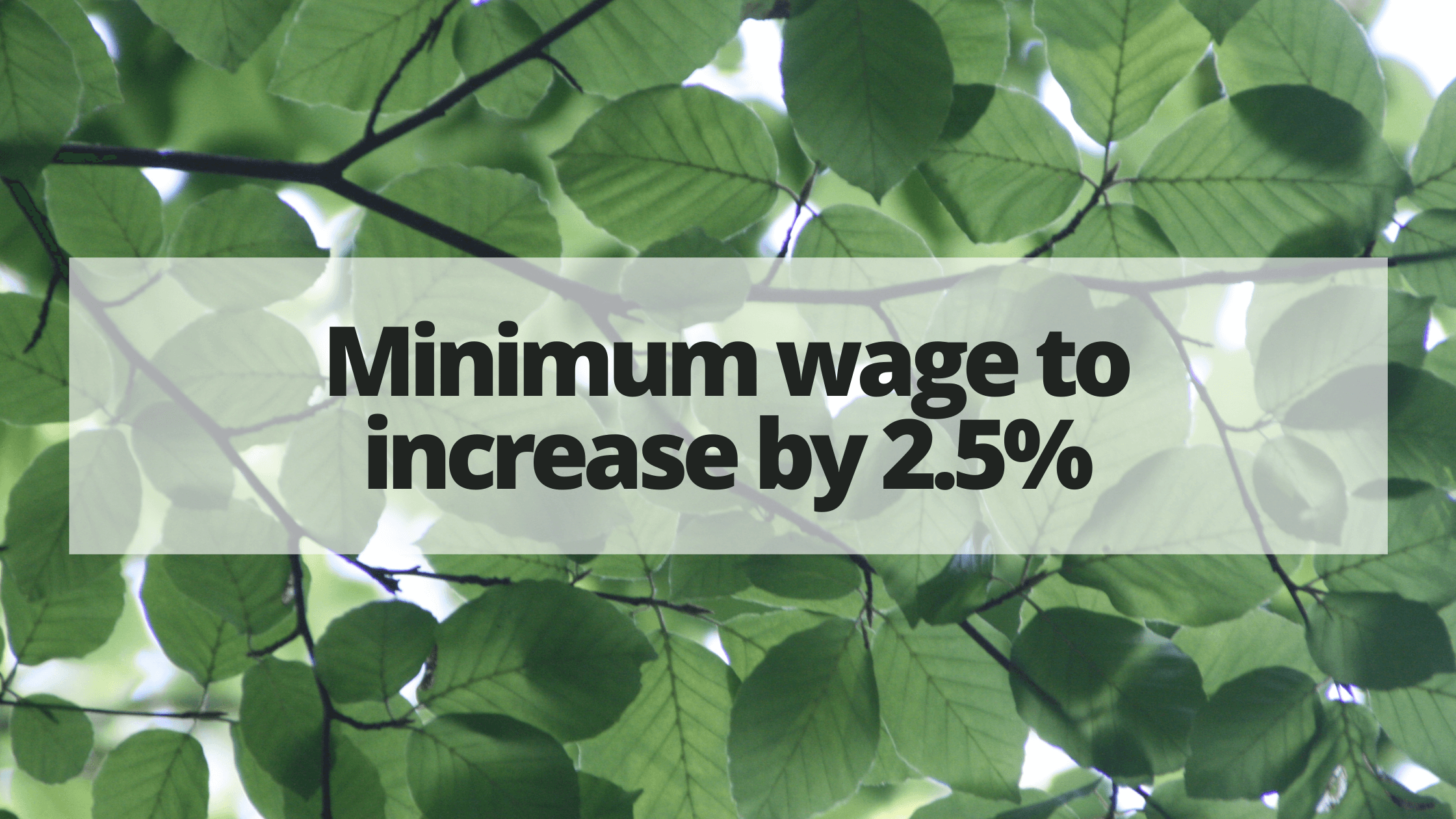 Minimum Wage Increase 2021 2022 The Money Edge