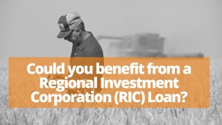 Could you benefit from a Regional Investment Corporation (RIC) loan?